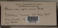 Image Associated With the Occurence